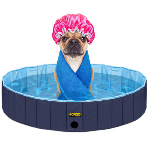 inflatable pool for dogs