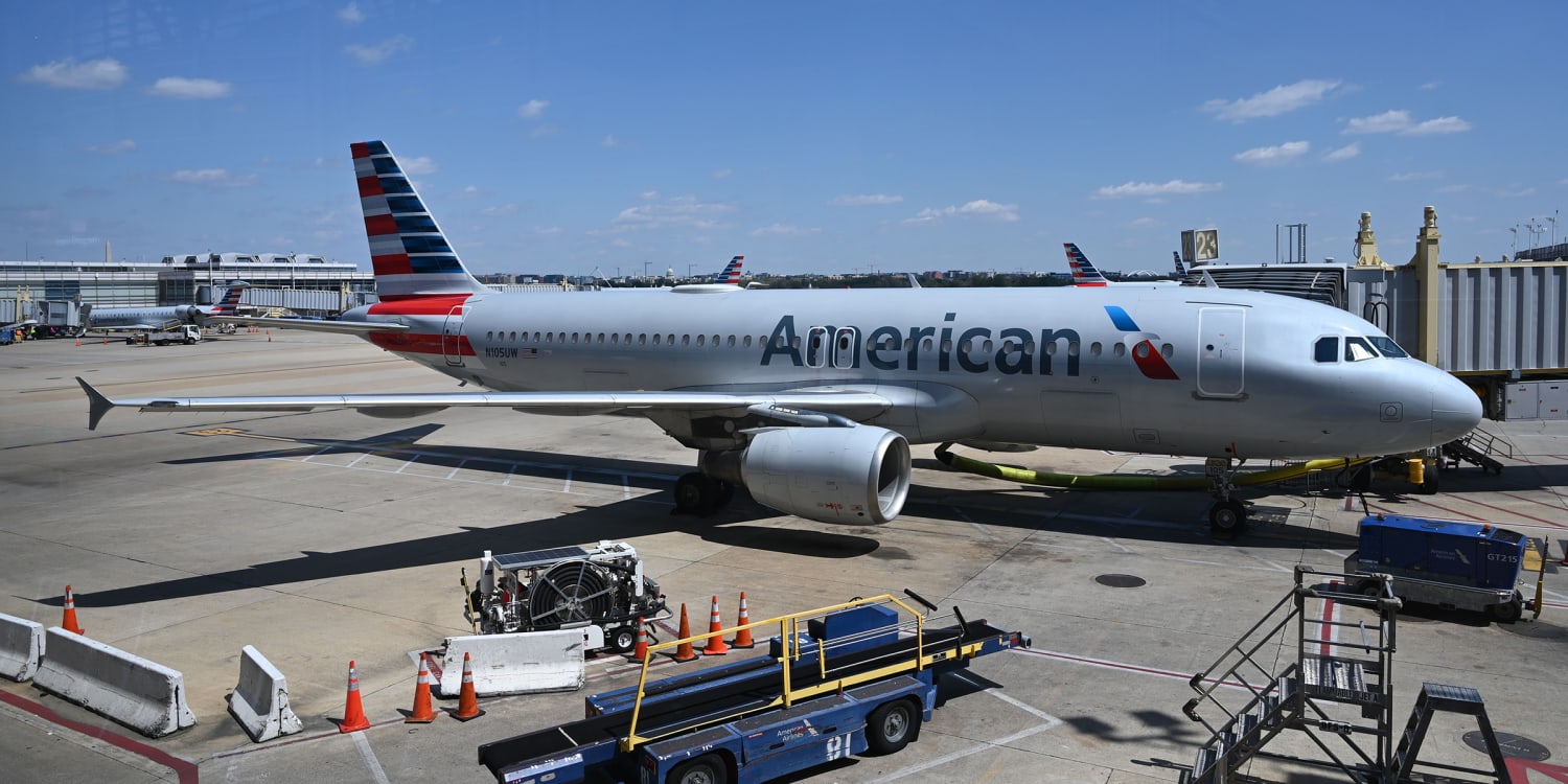 american airline check bolsa