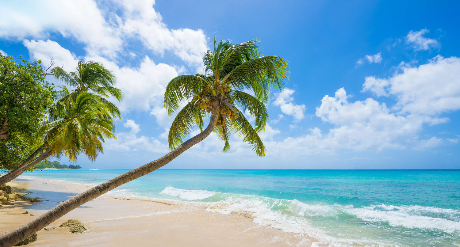 Download free Barbados Beach Caribbean Wallpaper - MrWallpaper.com