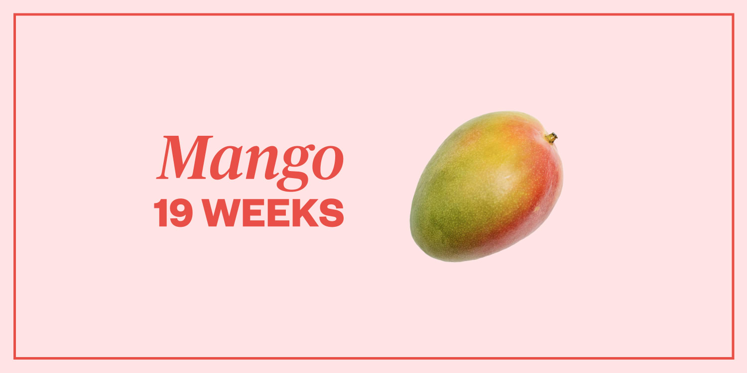 Pregnancy Symptoms Week By Week Guide To Pregnancy Stages