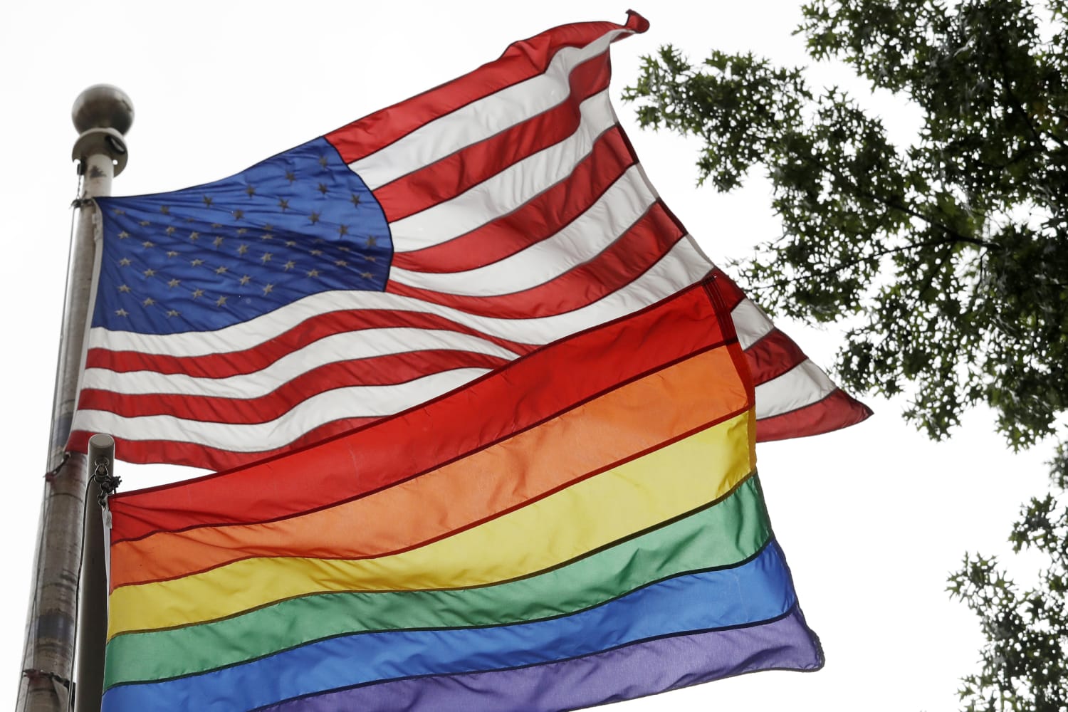 donald trump holds up gay flag