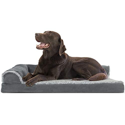 pet dog bed