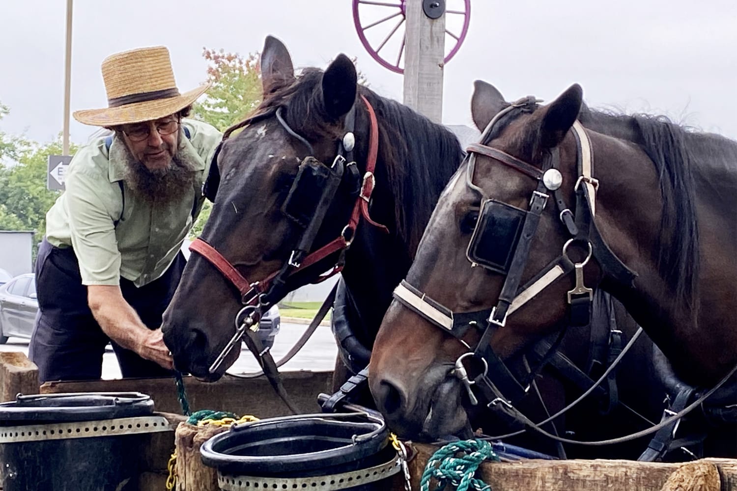 Puerto Ricans Who Fled Hurricane Maria Find A Home In Pennsylvania S Amish Country