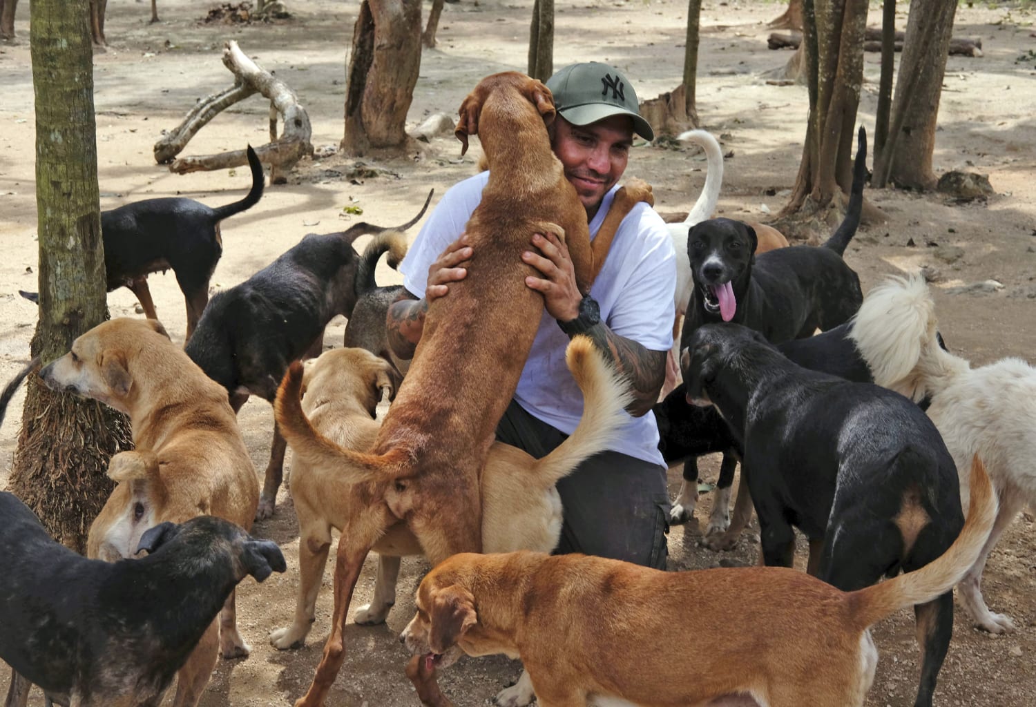 Man shelters 300 dogs from Hurricane Delta in Mexico home
