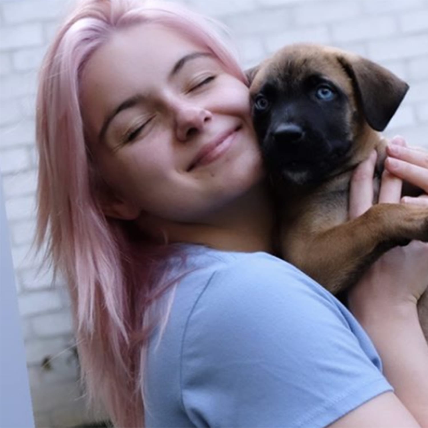 ﻿​​​ariel dog lover