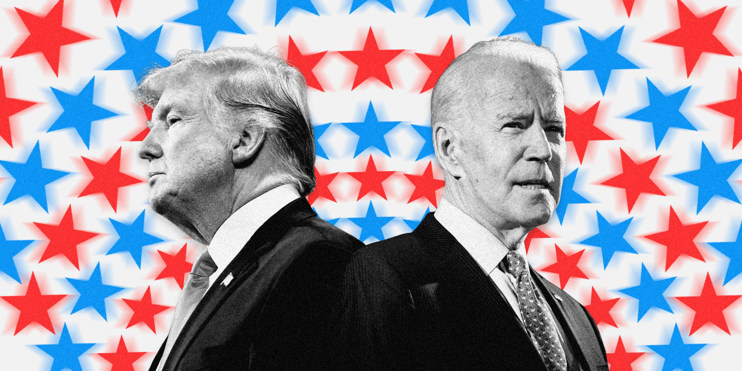 I Voted sticker TWICE 2020 Biden and Trump election USA VOTER 5" x 3" 