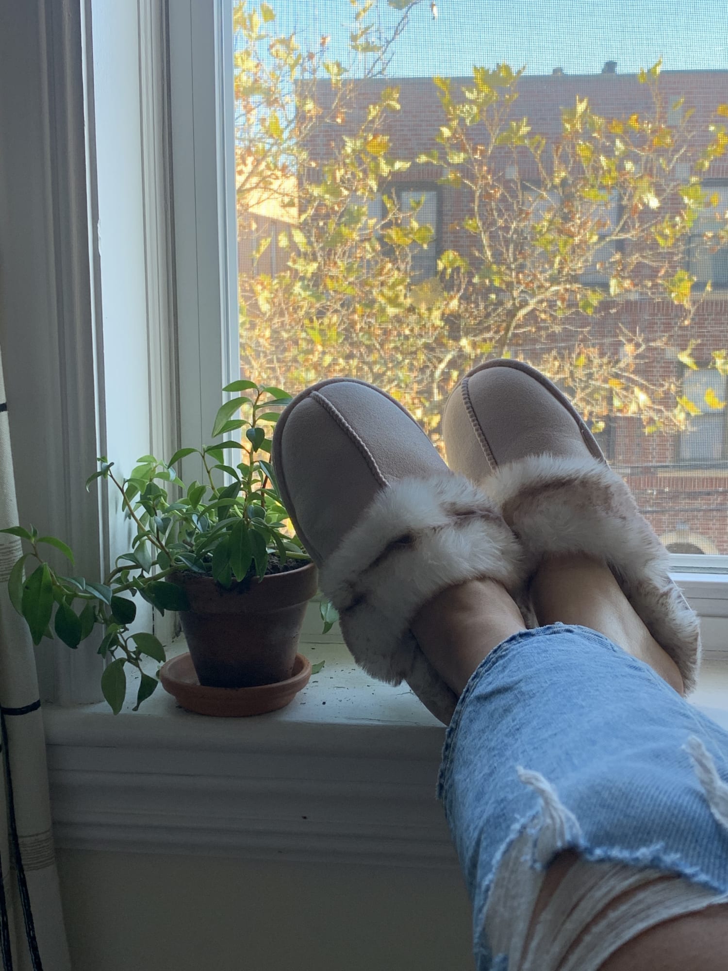 jessica simpson women's comfy faux fur house slipper