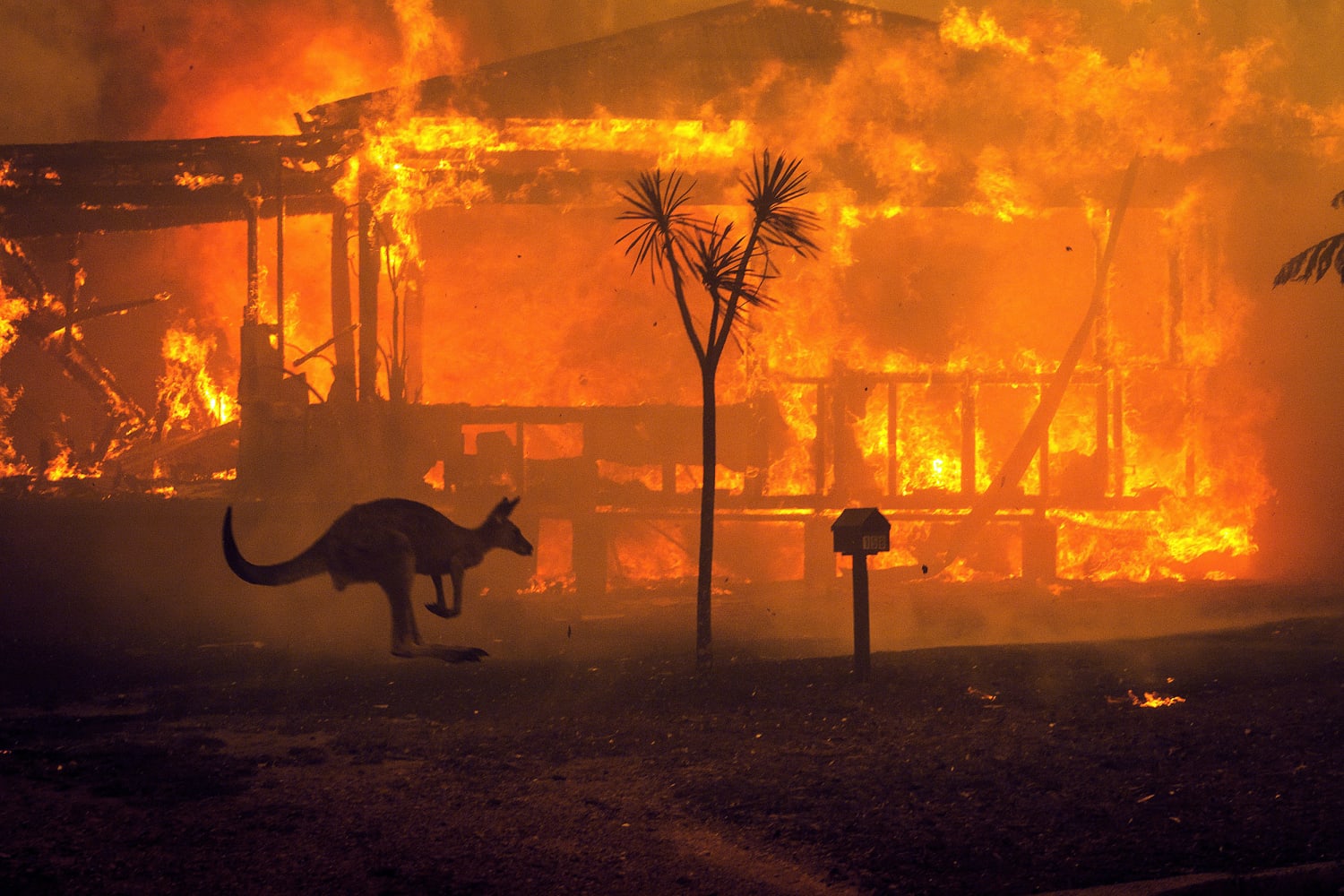 One year since Australia's devastating wildfires, anger grows at climate  change 'inaction'