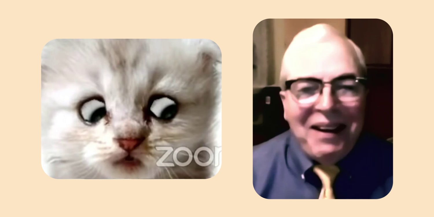 Meet Cat Lawyer Rod Ponton Who Went Viral After Zoom Filter Mishap