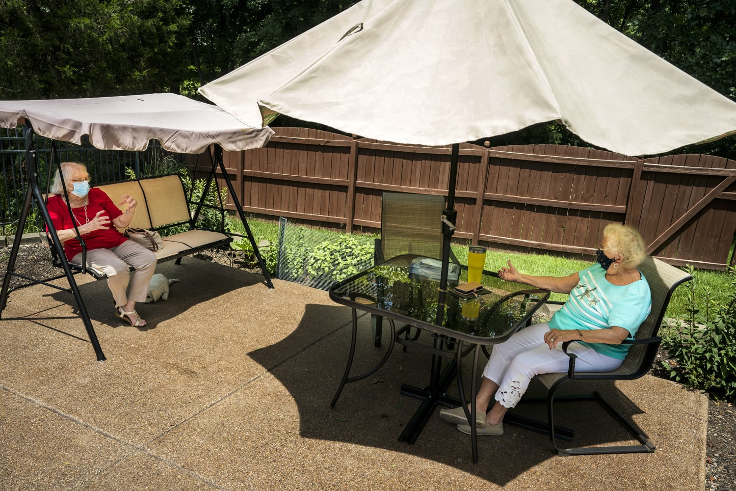 5 Best Canopy Tents For Outdoor Gatherings In 2021 - Outdoor Winter Patio Tents
