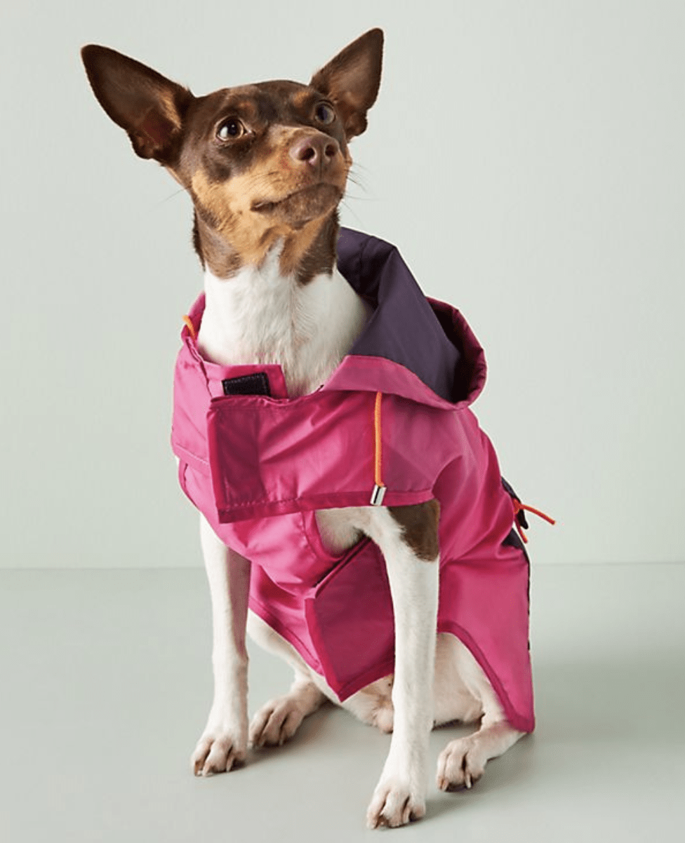 menards dog sweaters