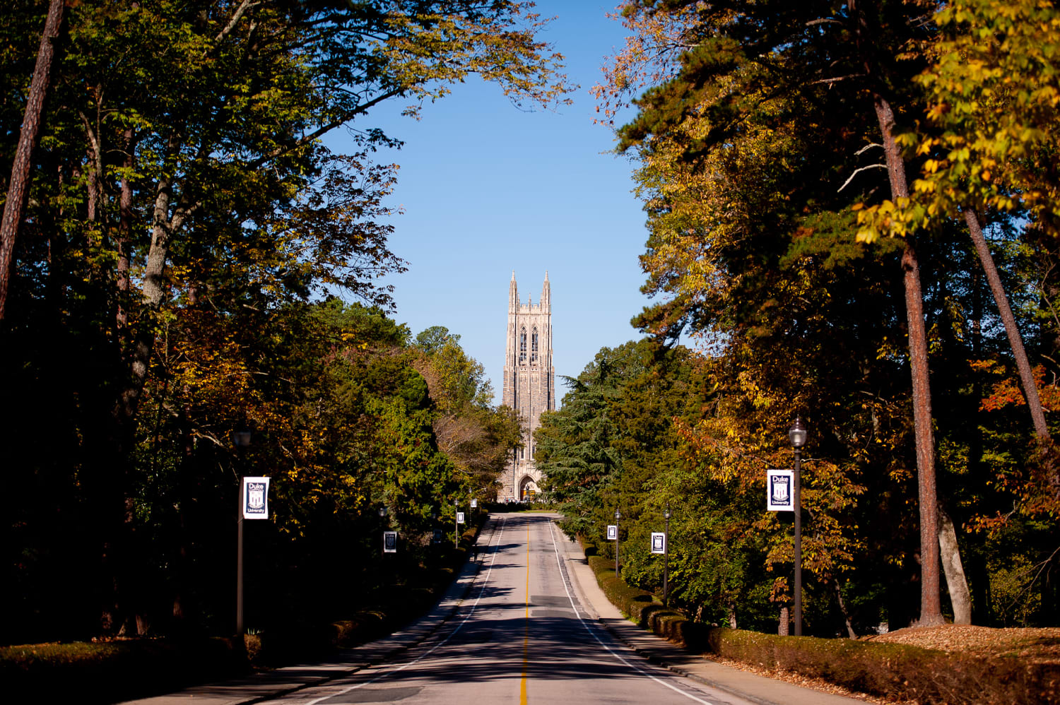 Duke Centennial infrastructure projects to limit Chapel Drive vehicle  access  The Chronicle
