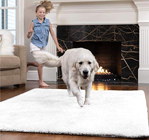 Top Rated Washable Rugs For Upgrading, What Type Of Area Rug Is Easiest To Clean