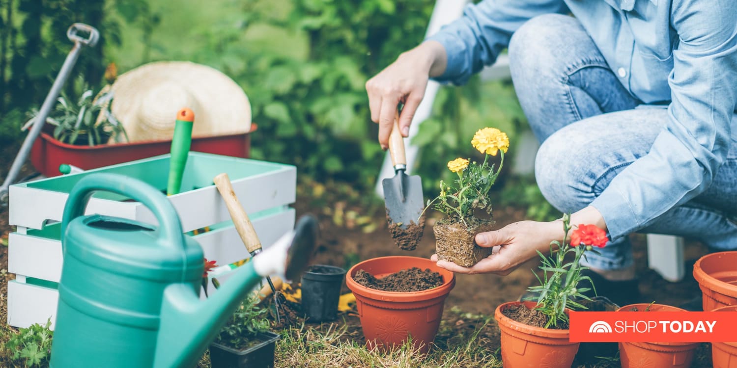 Beperking George Stevenson fontein 17 best gardening tools that you should own in 2022