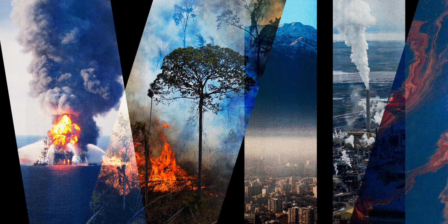 movement pushes for new international crime: Environmental destruction