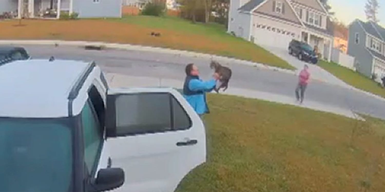 Man Rescues Wife From Bobcat Attack In Driveway In Wild Video