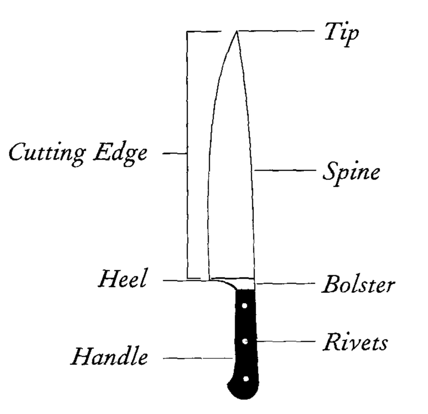 Kitchen tip: Anatomy of a chef's knife (and how to hold one like a