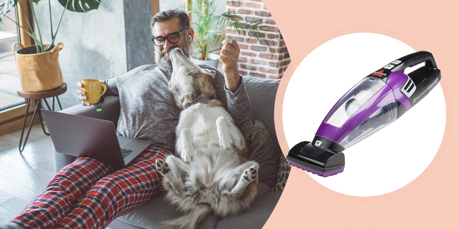 8 Best Pet Hair Removal Tools For 2021, Best Cordless Vacuum For Hardwood Floors And Carpet Pet Hair Remover