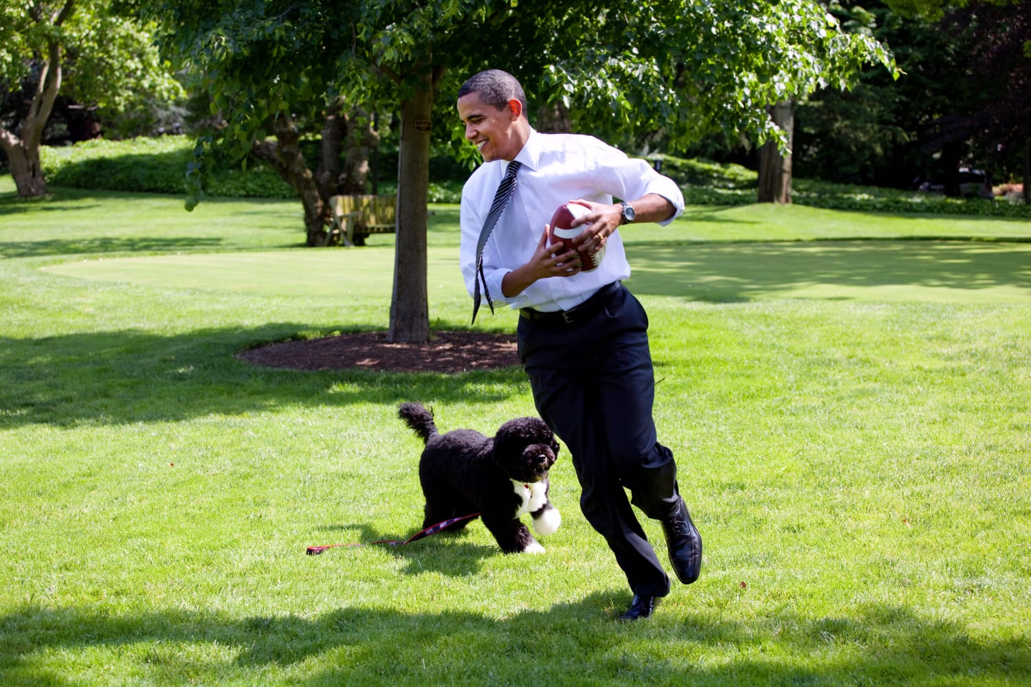 First best sale dog president