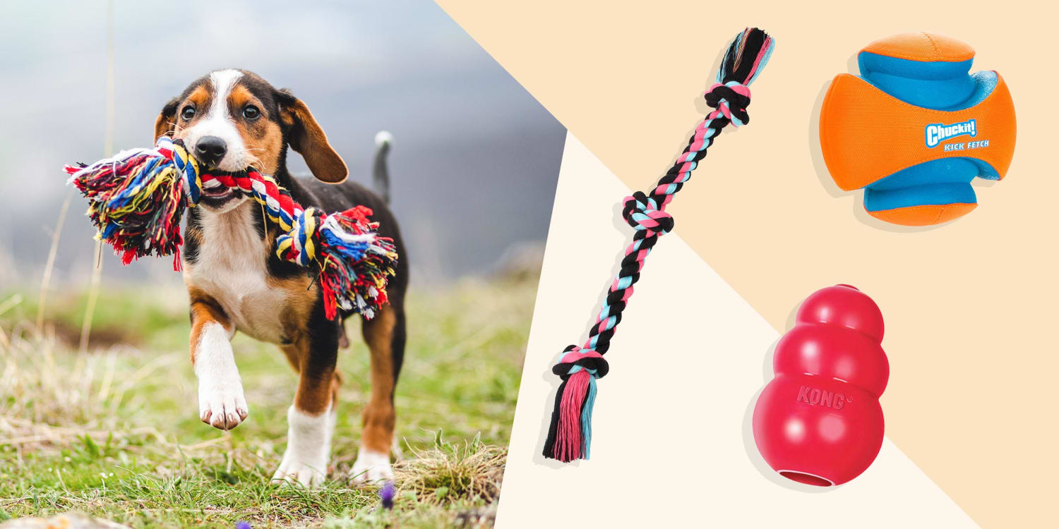 The 16 Best Dog Toys To Entertain Every Type Of Dog In 21