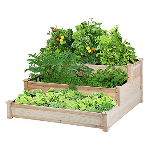 Raised Garden Beds To Grow Plants, Best Garden Planter Box