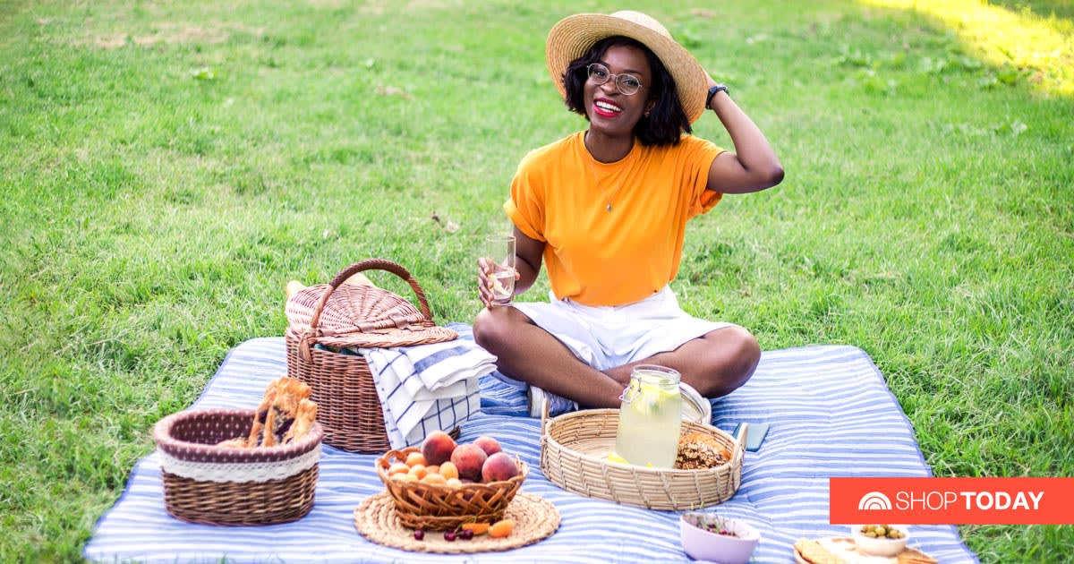 invoegen Executie Onheil 24 essentials for summer picnics: Blankets, baskets and more