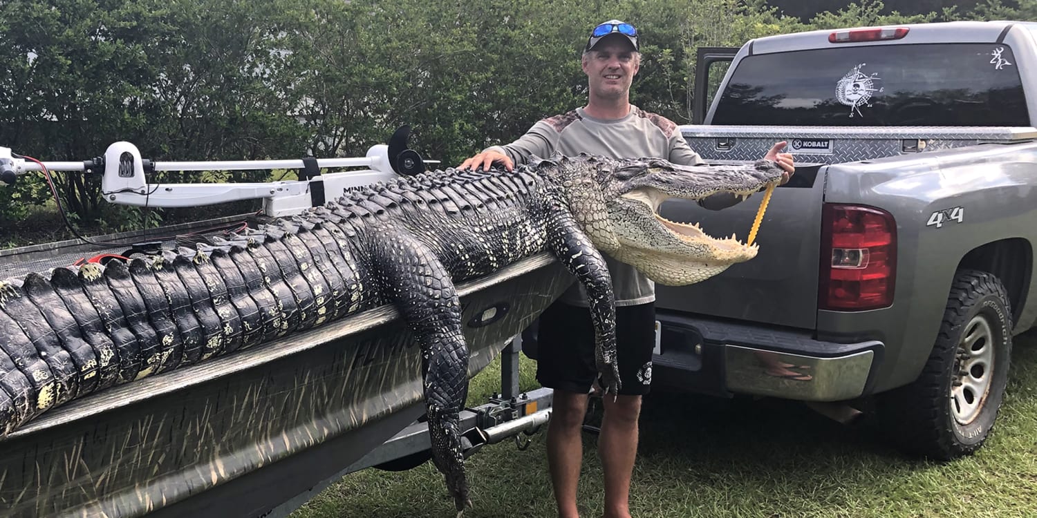 Florida man bitten by alligator regains use of hand