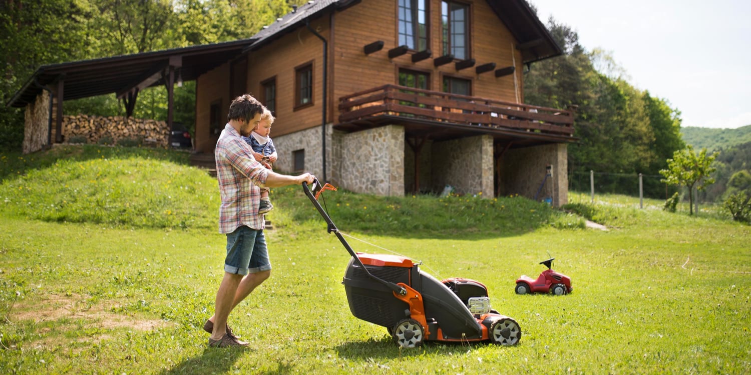 The 7 Best Lawn Mowers For Every Kind, Landscaping Lawn Mowers