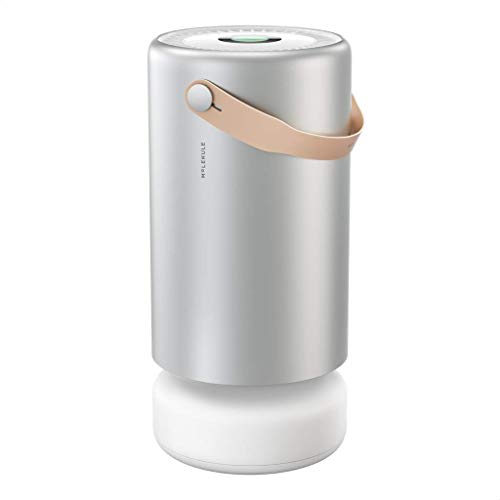 Molekule air purifier alternative Outlet