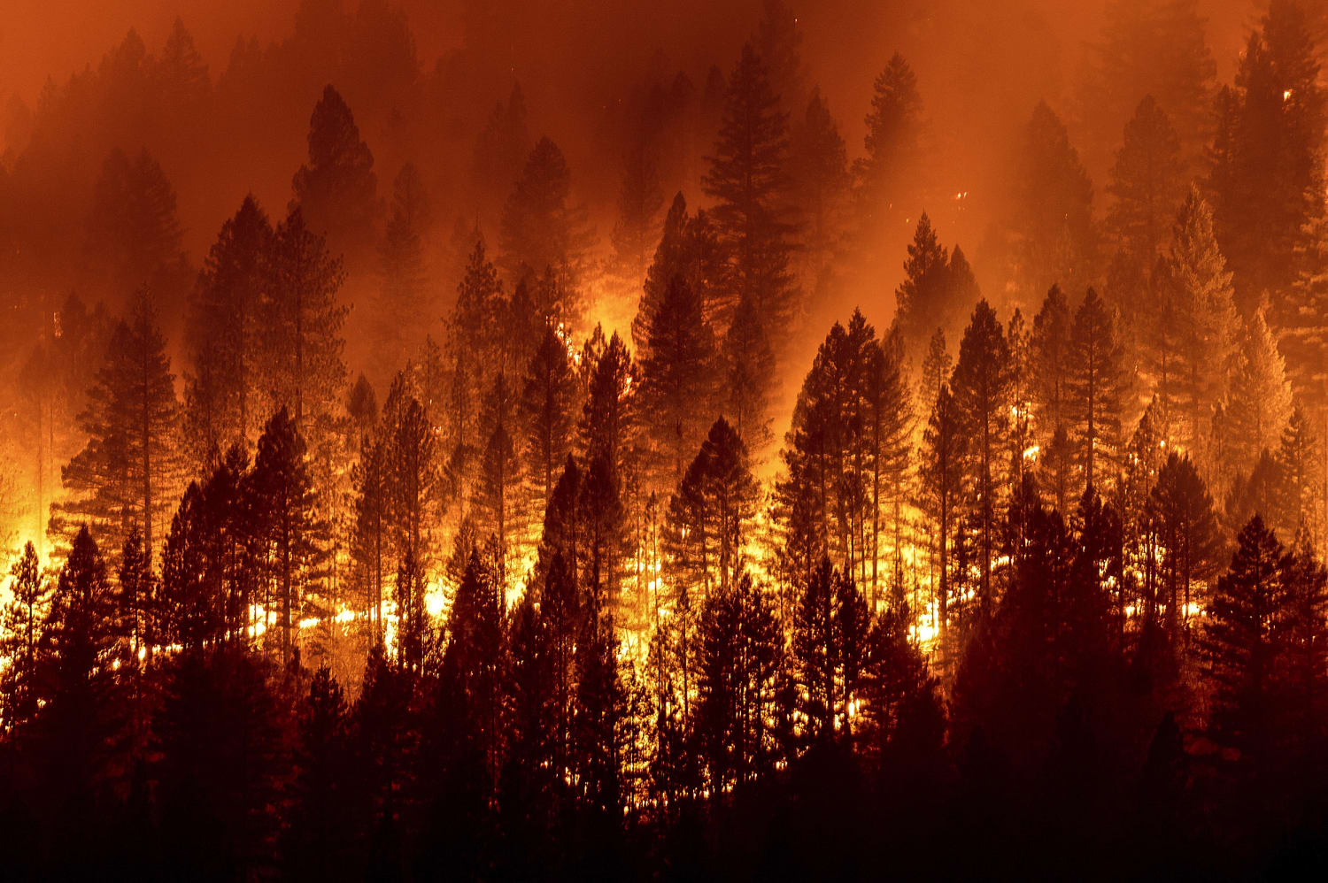 Western Wildfires: California, Washington, Oregon Wildfire News - NBC News | NBC News