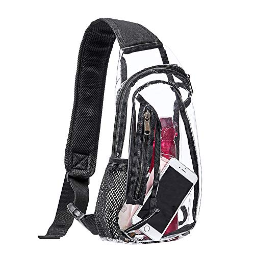 stadium approved clear backpack