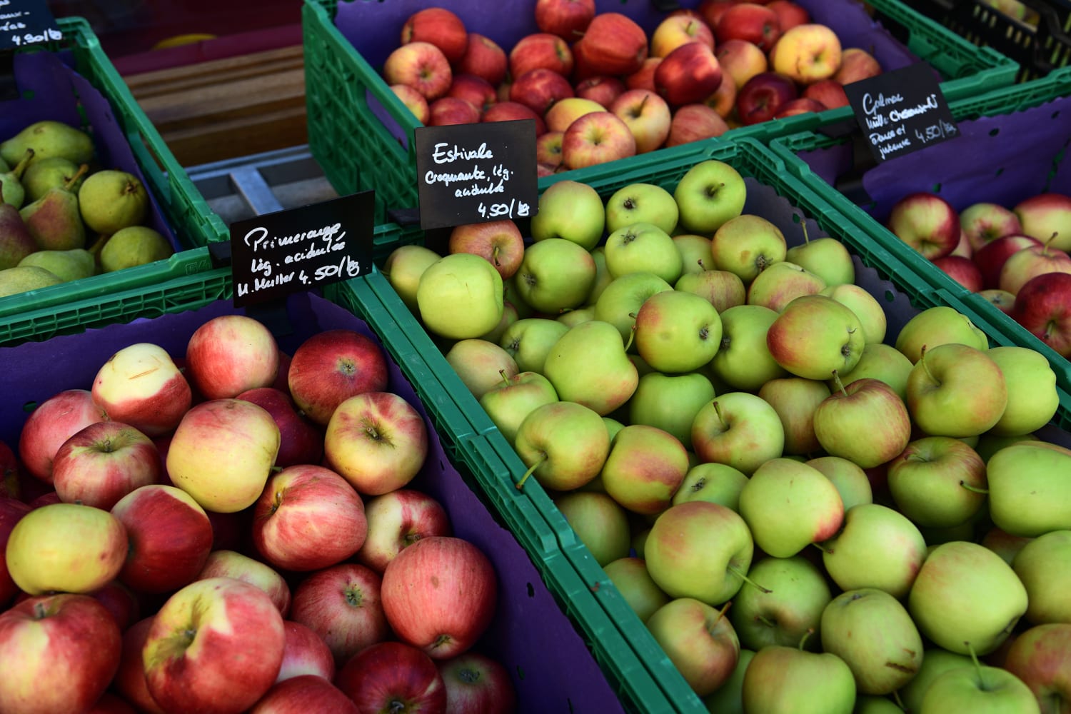 How to Pick the Best Apples