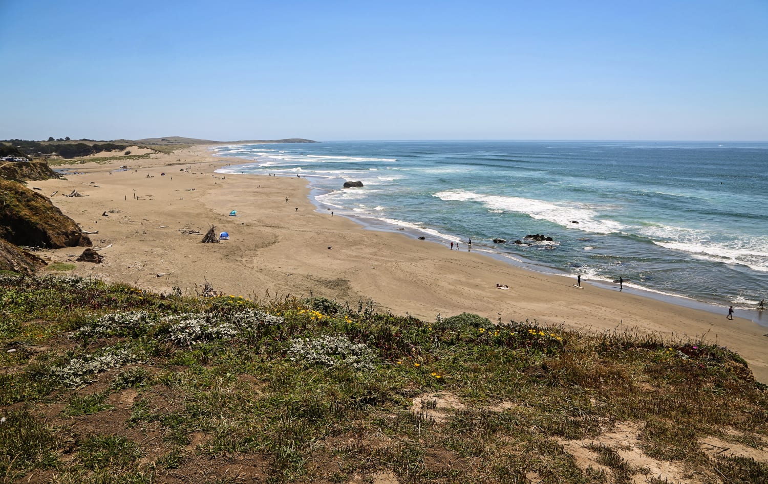 Surfer survives great white shark attack near San Francisco – The Hill