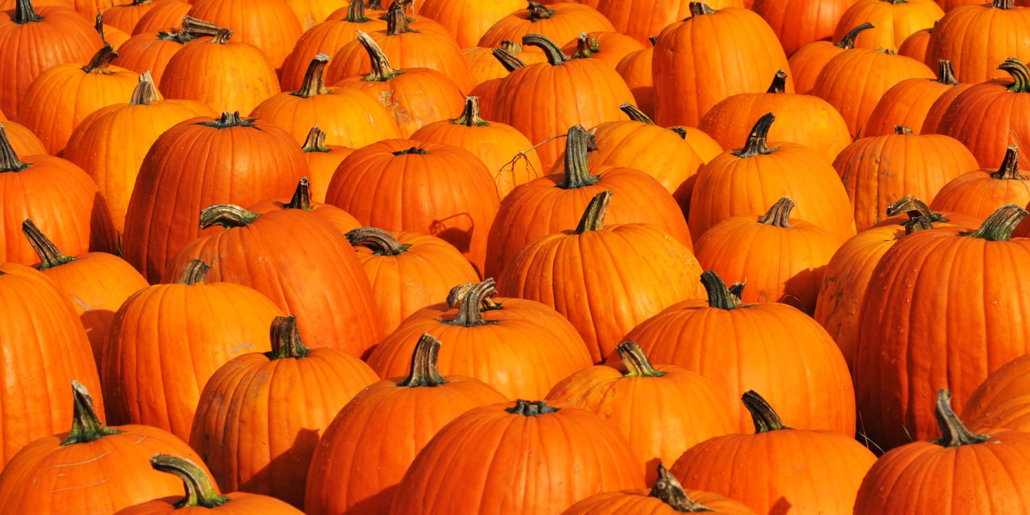 About pumpkins(off topic)