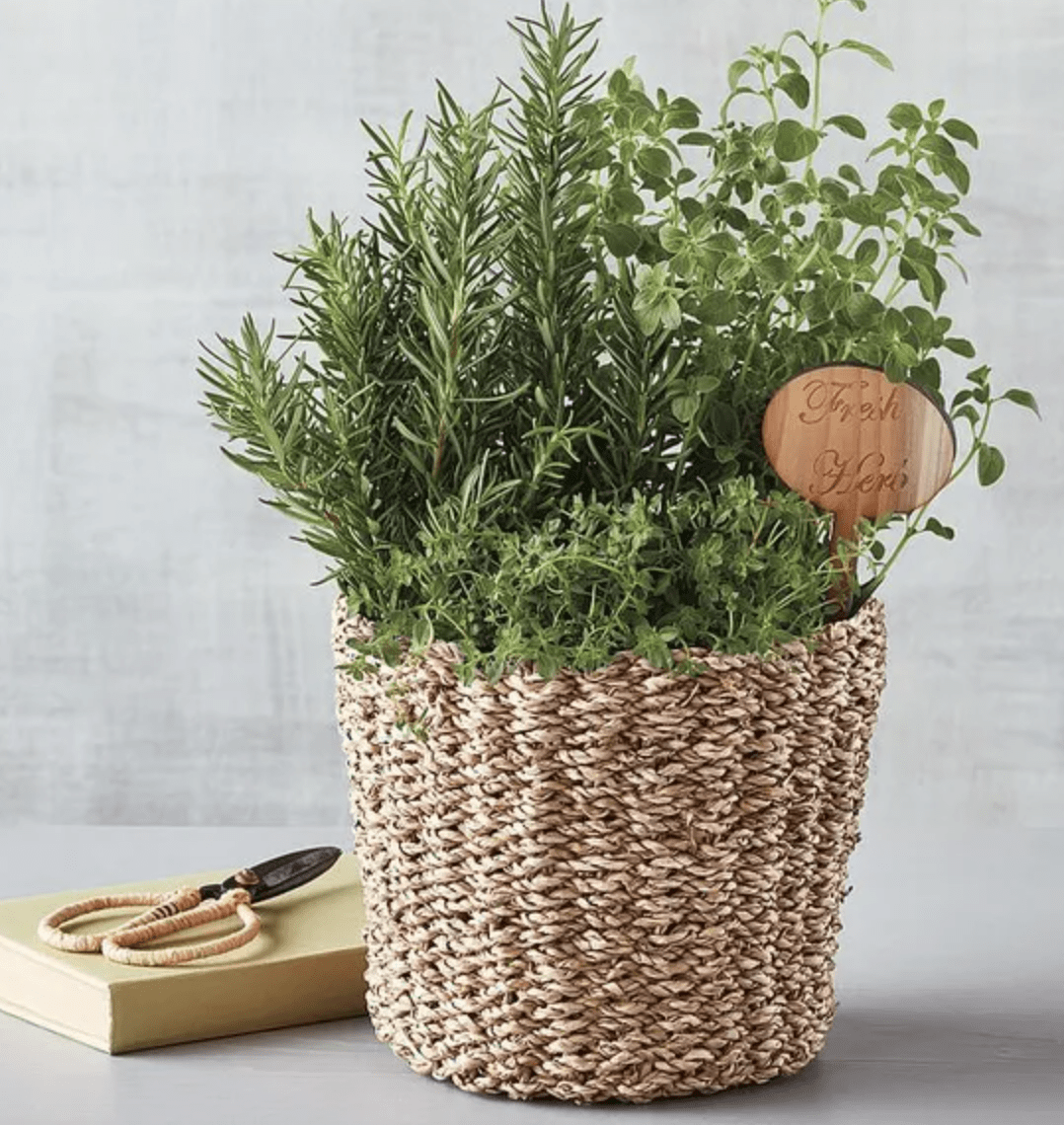 Lovely red Pom Pom trim storage wicker baskets gift baskets plant pots ideal for Mother\u2019s Day or valentines