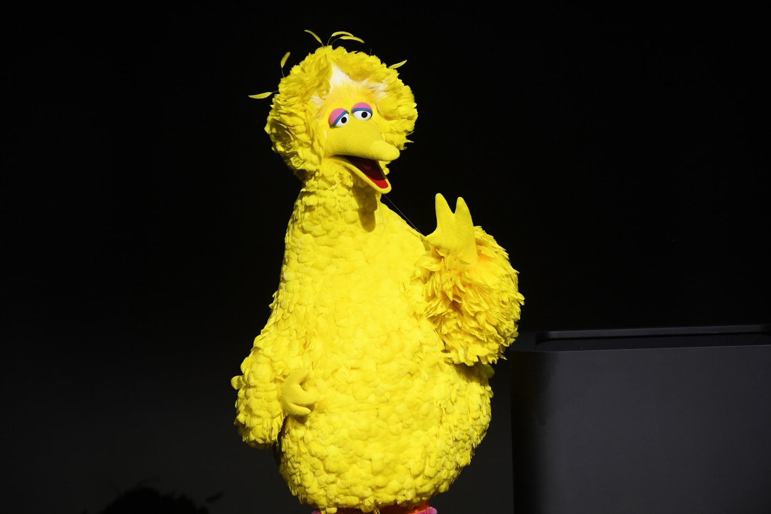 Big Bird vaccination announcement sparks backlash from conservatives, GOP