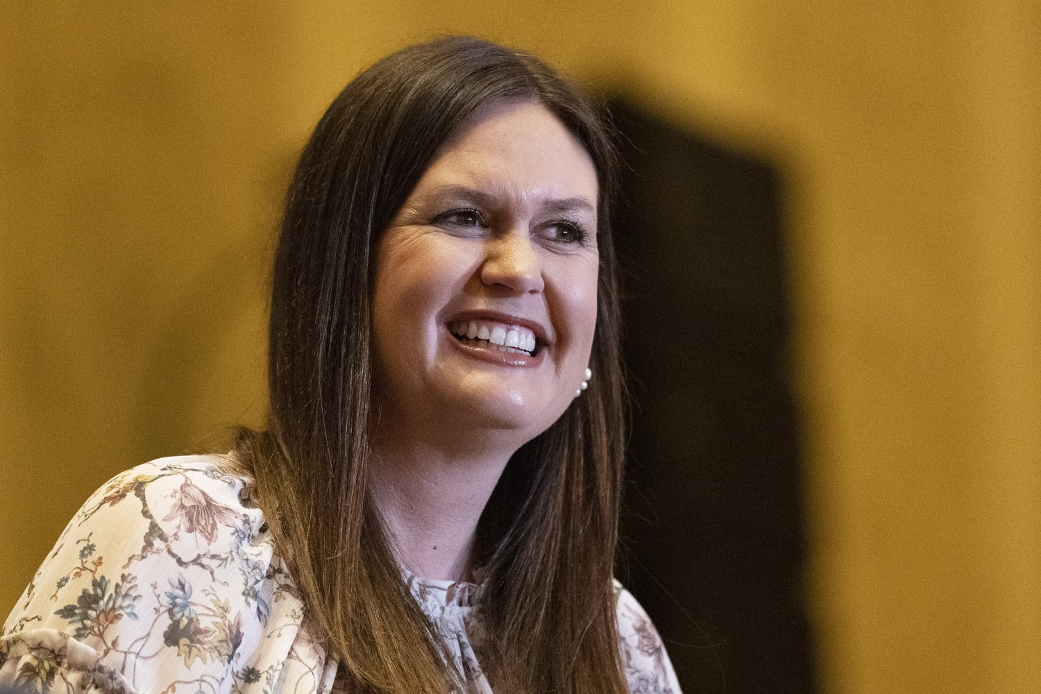 Arkansas attorney general drops bid for governor, clearing path for Sarah Sanders