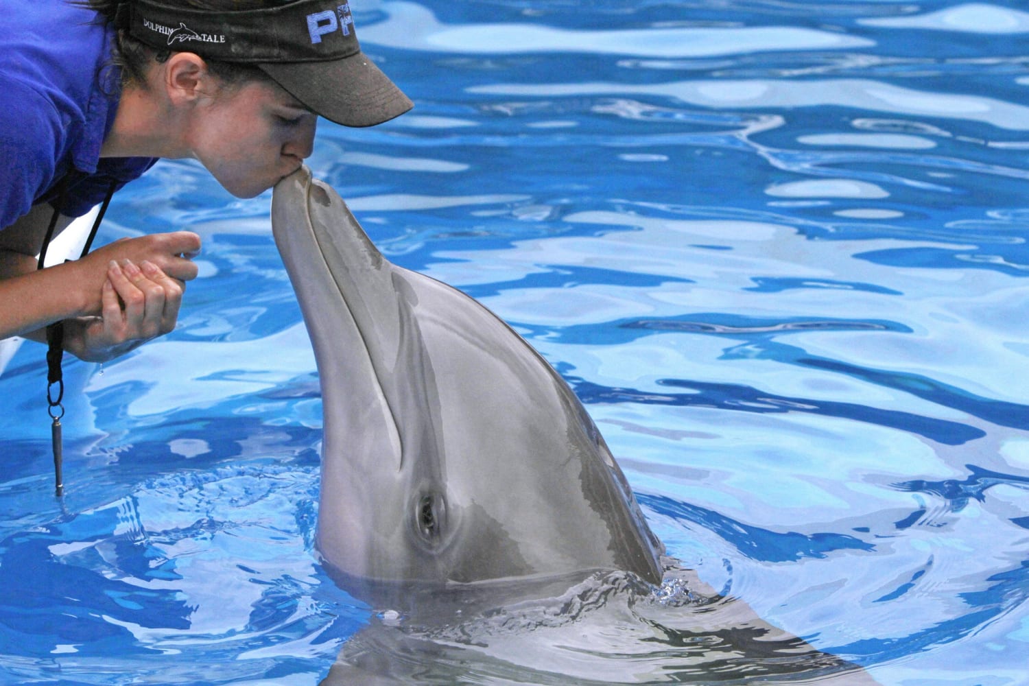 Dolphin Tale' Inspirational Star Winter The Dolphin Dies Of