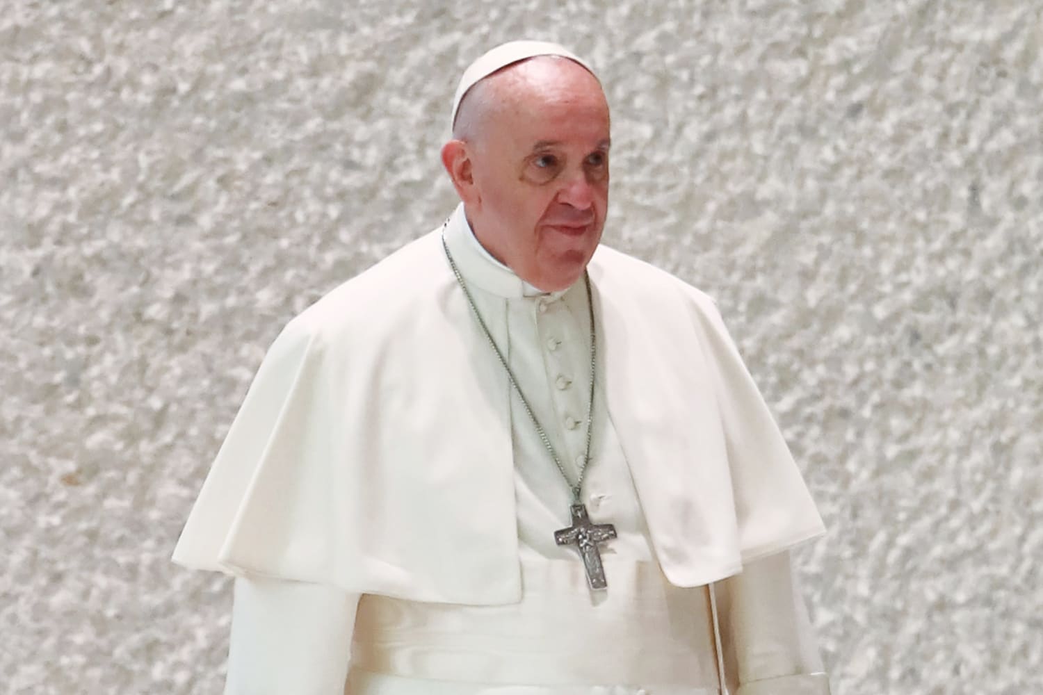 Pope Francis rebukes couples who have pets instead of children. That’s rich.