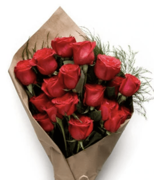 Send Love on Valentine's Day with a Gorgeous Living Gift Valentine’s Rose Plant Rose Bush Gift Wrapped with Huge Bow