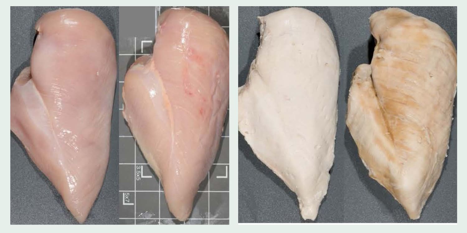 Chicken Meat Package