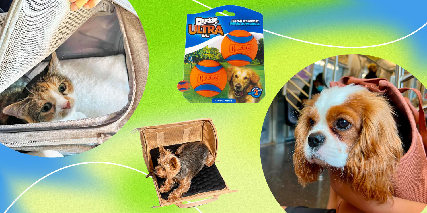 14 best pet products for dogs and cats, according to pet owners