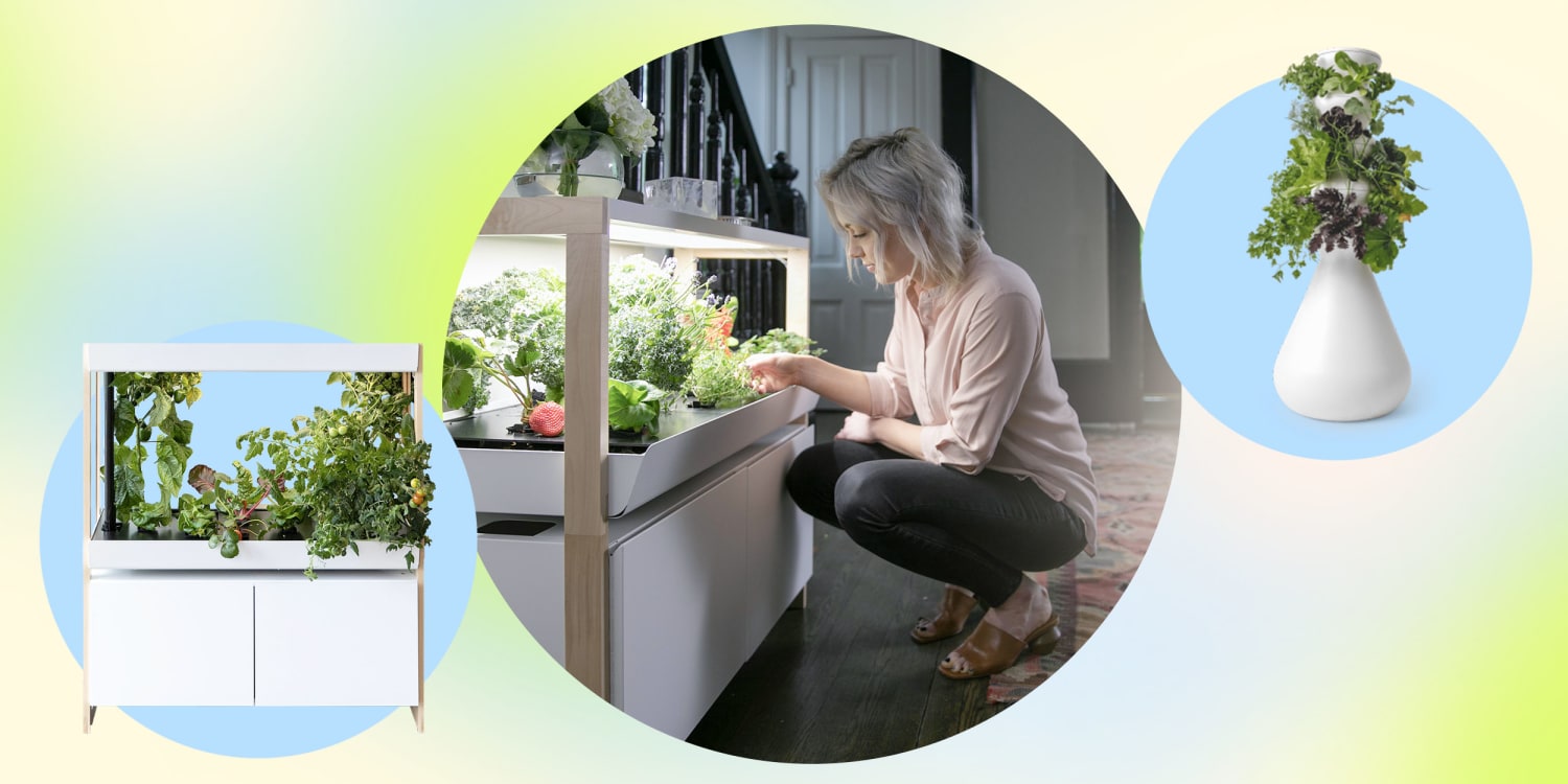 7 indoor gardening systems to shop in 2023, according to experts