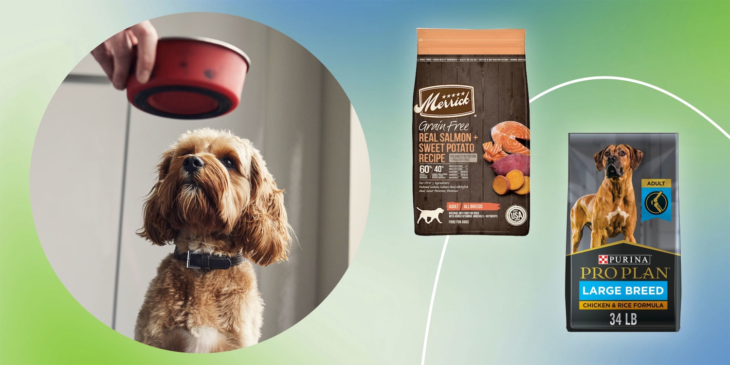 Best 5 Star Rated Dog Food 