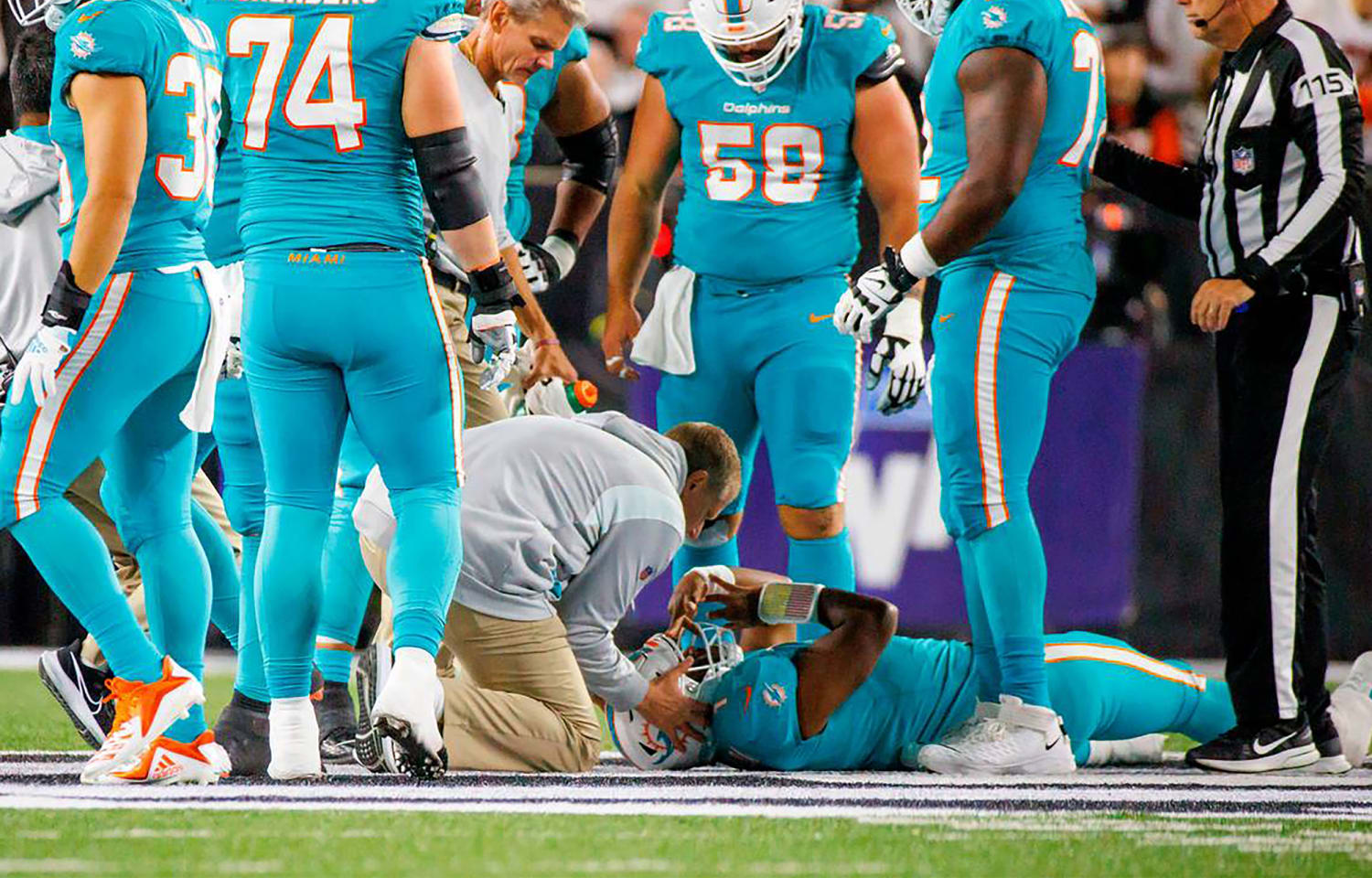 the dolphins american football