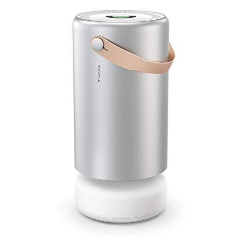 Molekule air sales