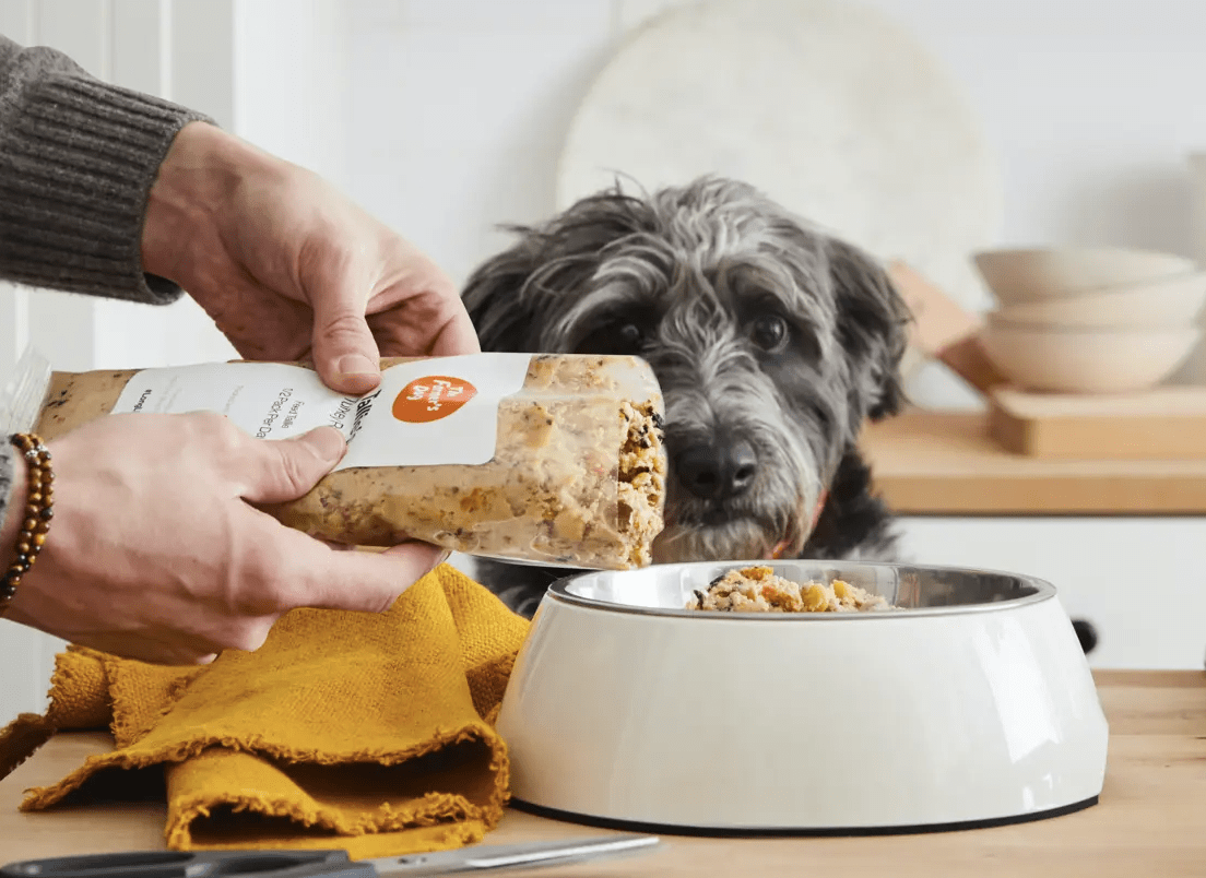 DTC dog food brands are on the rise: What to know