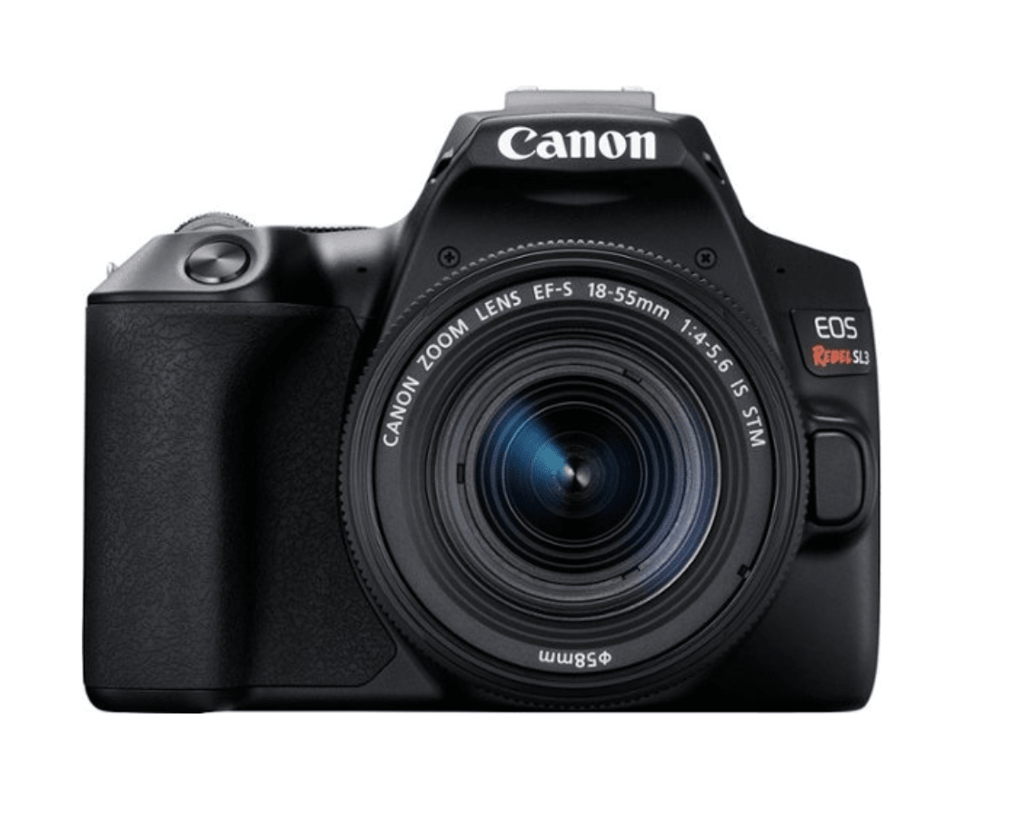 Mirrorless Cameras Best Budget Dslr Camera 2021 The Best DSLR