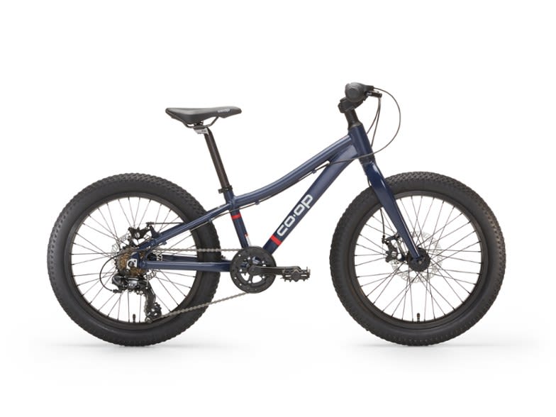 Best cycle discount brands for kids