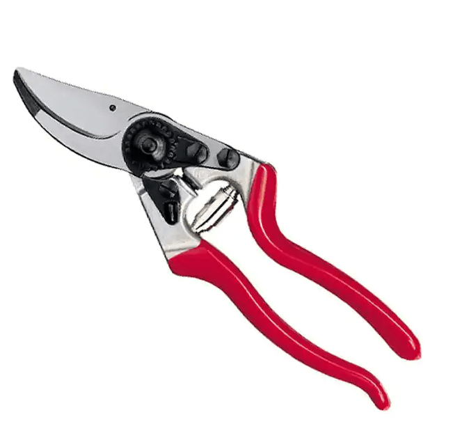 11 Best Garden Shears, Loppers, and Pruners 2023
